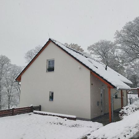 Apartman Boruvka Ческа-Каменице Экстерьер фото